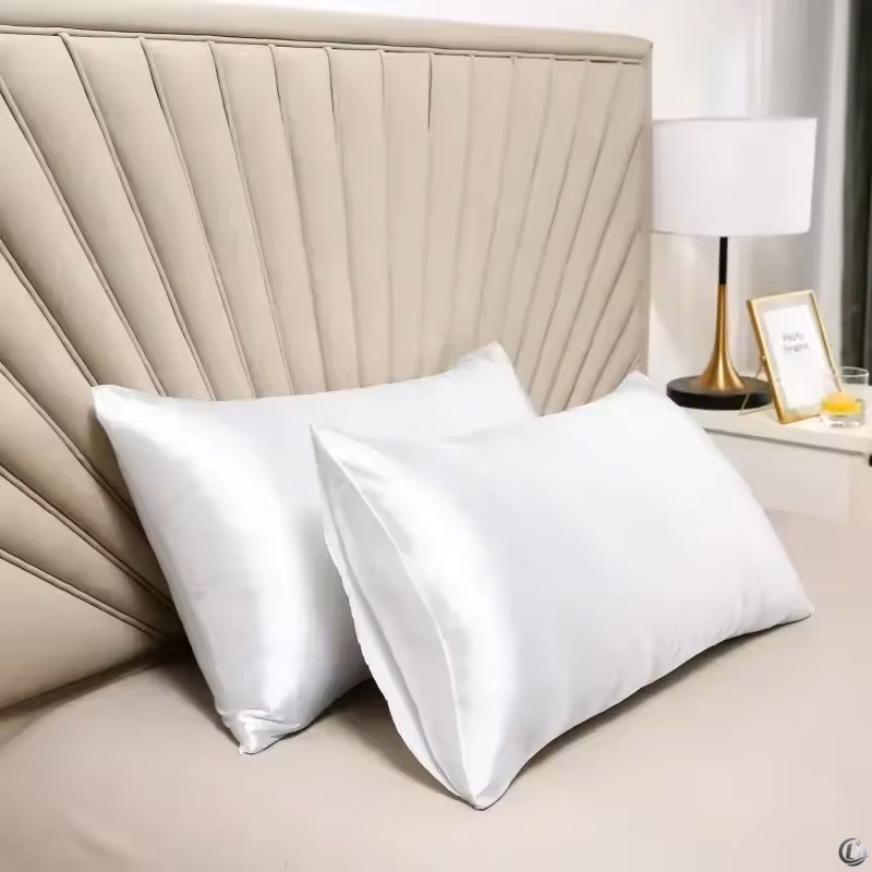 100% Natural Mulberry Silk Pil - Satin Silk Pillowcase Hair Skin ulasan dan harga